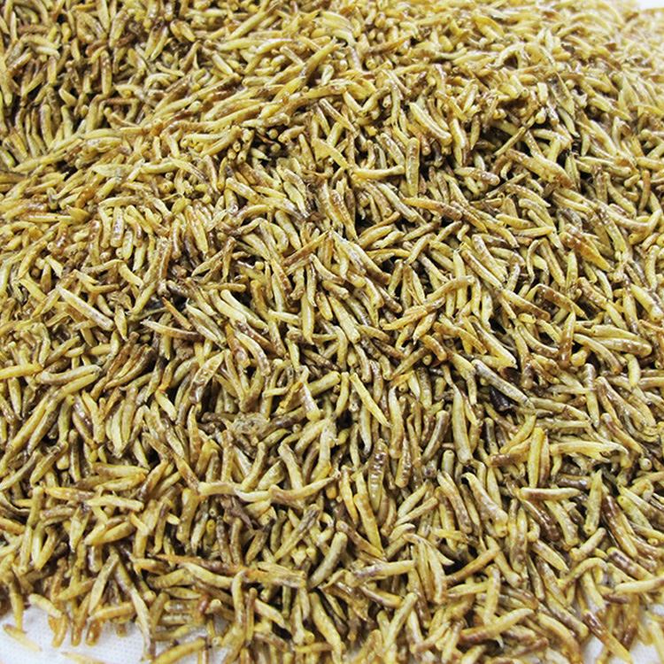 Dried Maggot