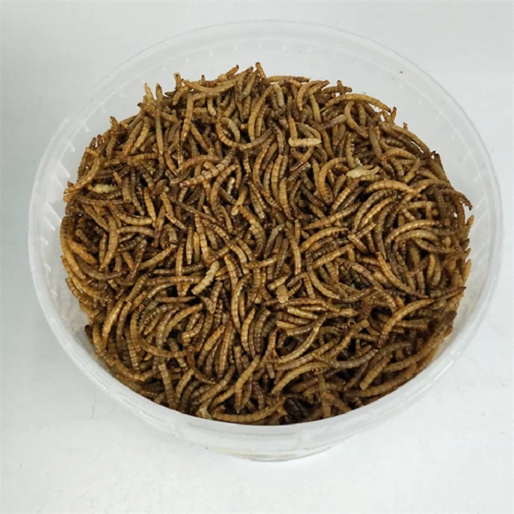 High Quality Microwaved Dried Mealworms Fish Food