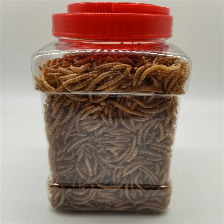 High Quality Microwaved Dried Mealworms Fish Food