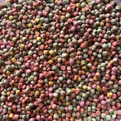 Parrot bird feed Parrot bird feed