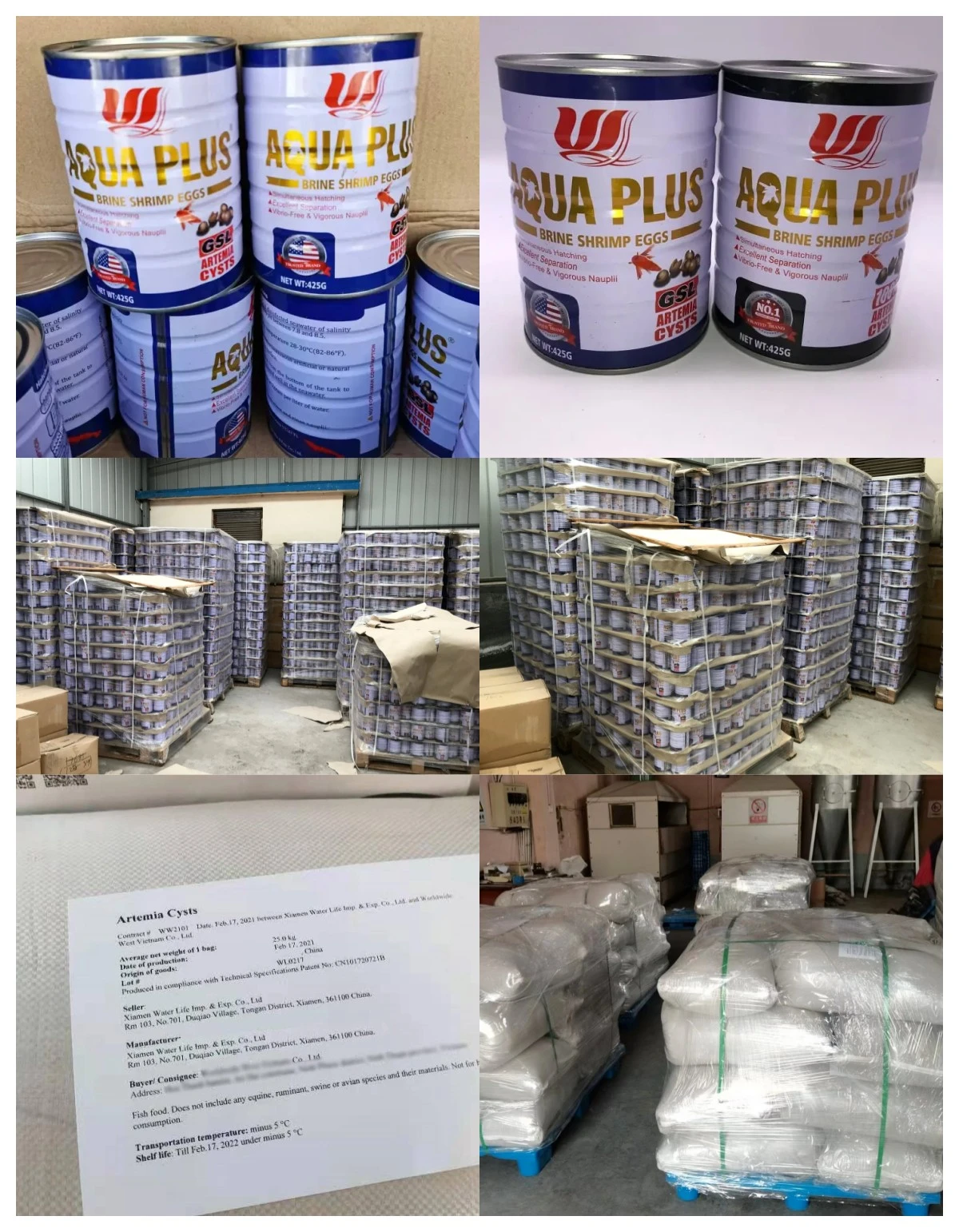 GSL Brine Shrimp Eggs Shipping GSL Brine Shrimp Eggs Shipping