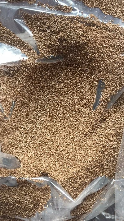 GSL Brine Shrimp Eggs Artemia Cysts Brine Shrimp Eggs Brine Shrimp Eggs Premium Grade Grade Brine Shrimp Eggs GSL Brine Shrimp Eggs GSL Brine Shrimp Eggs Artemia Cysts Brine Shrimp Eggs Brine Shrimp Eggs Premium Grade Grade Brine Shrimp Eggs GSL Brine Shrimp Eggs