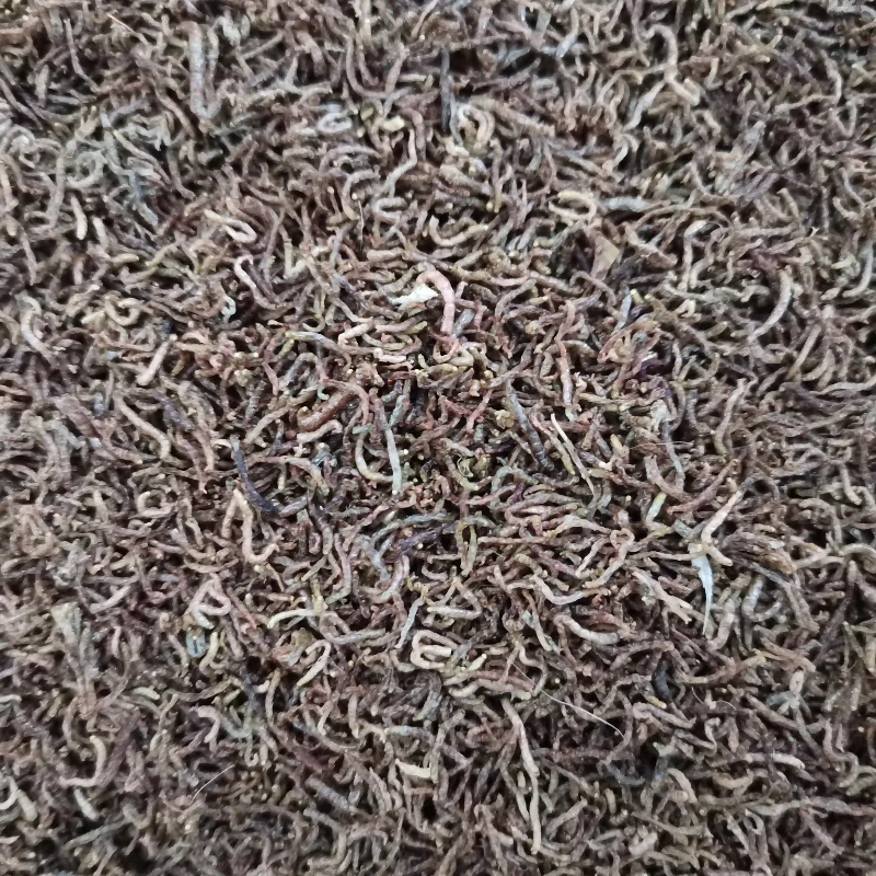 Freeze Dried Bloodworm Fish Food Freeze Dried Bloodworm Fish Food