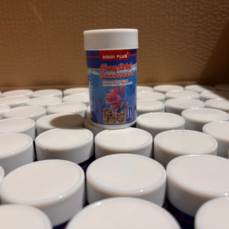 Freeze Dried Bloodworms Fish Food