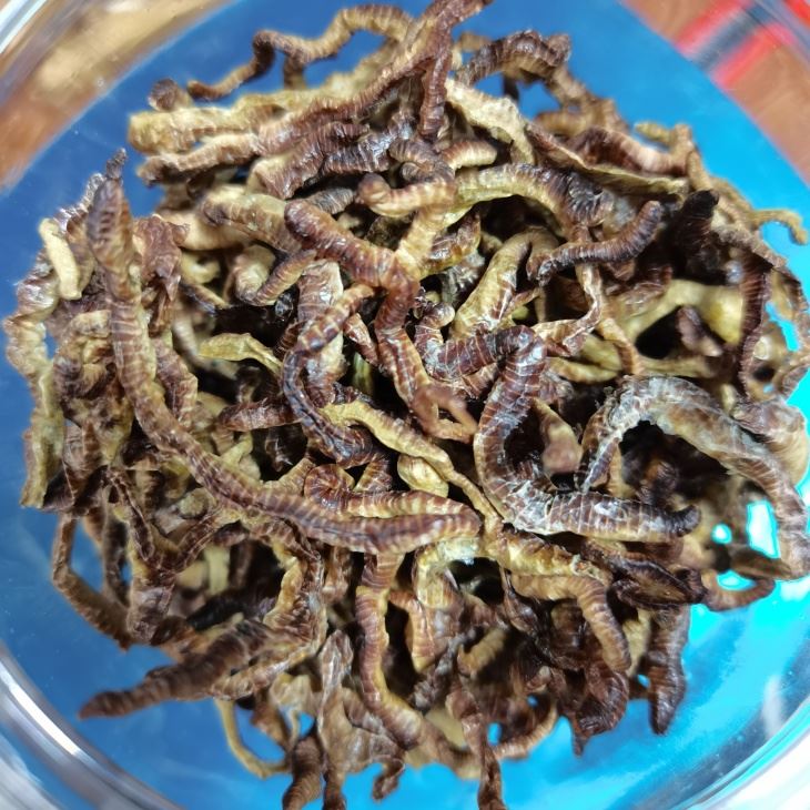 Freeze Dried Earthworms Food Freeze Dried Earthworms Food