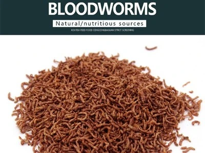 dried bloodworm fish food dried bloodworm fish food