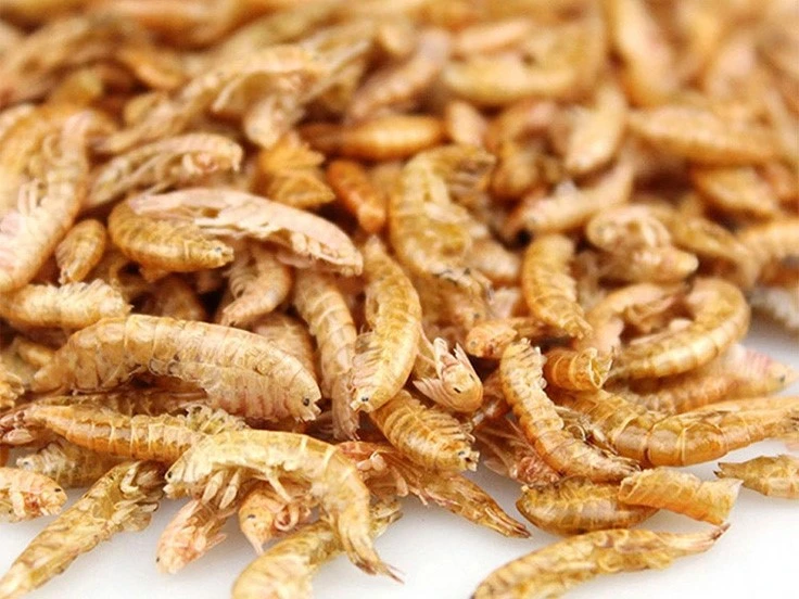 Freeze Dried Gammarus Freeze Dried Gammarus
