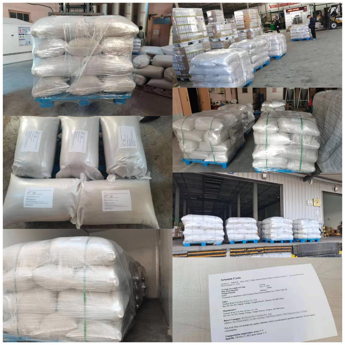 artemia cysts shipping artemia cysts shipping