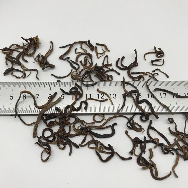 Aqua Plus sun dried earthworms air drying manufacturing process Aqua Plus sun dried earthworms air drying manufacturing process