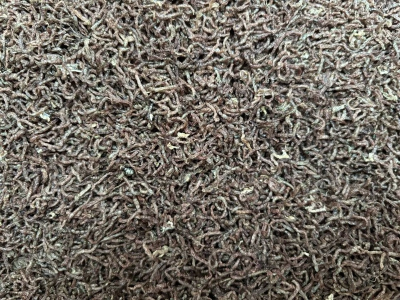 Freeze Dried Bloodworms Fish Food Supplier Premium Fish Feed Freeze Dried Bloodworms Fish Food Supplier Premium Fish Feed