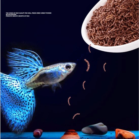 Freeze Dried Bloodworms Fish Food Supplier Premium Fish Feed Freeze Dried Bloodworms Fish Food Supplier Premium Fish Feed