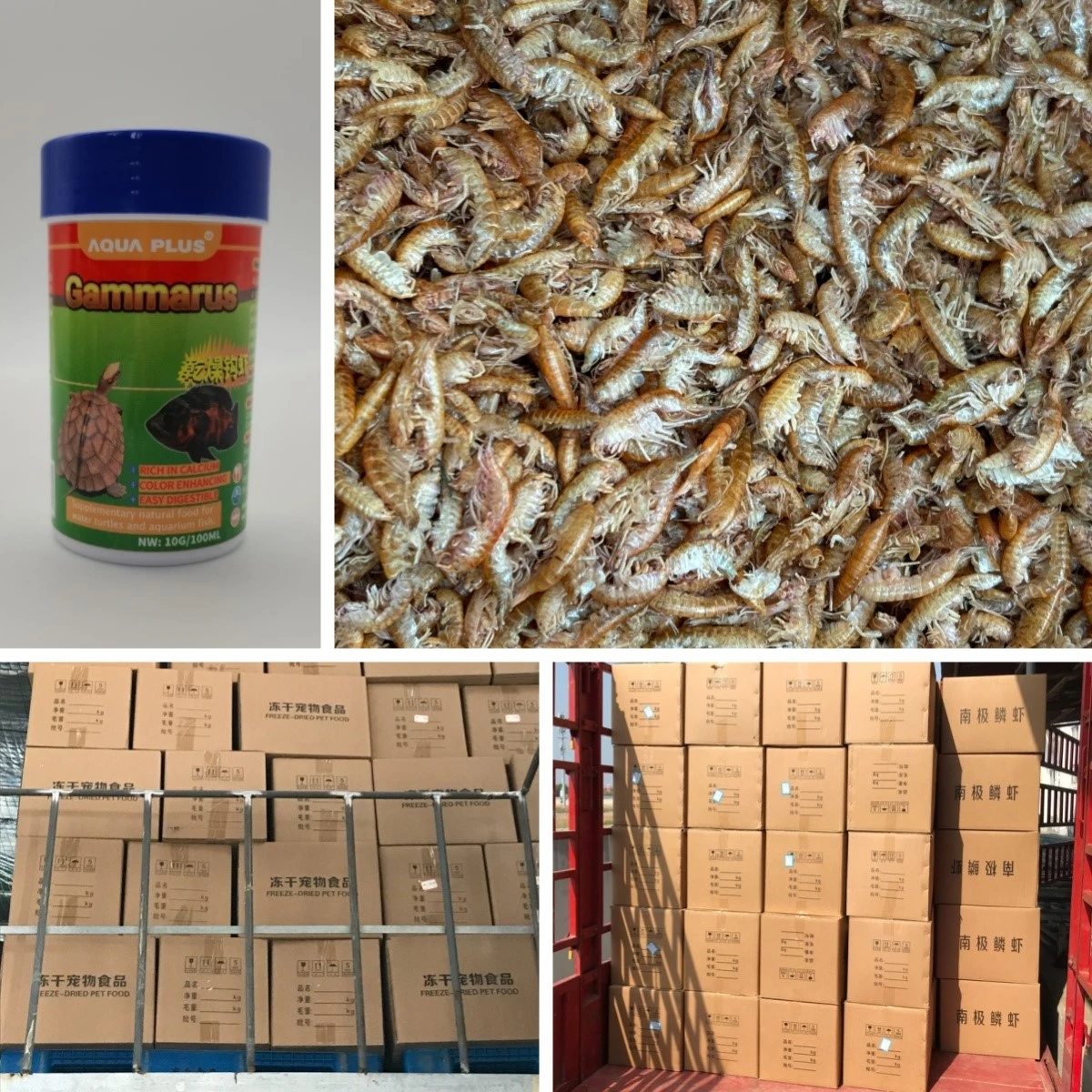 Dried Gammarus FOOD shipping Dried Gammarus FOOD shipping