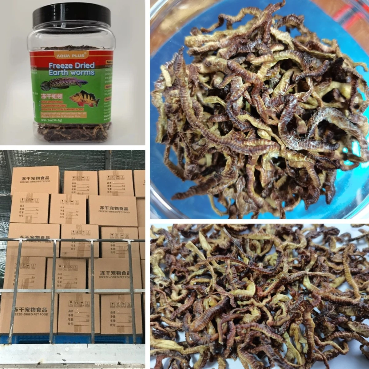 Freeze Dried Earthworms shipping Freeze Dried Earthworms shipping