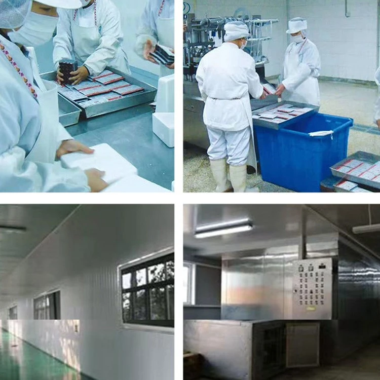 Frozen Daphnia for Aquarium manufacturing facility Frozen Daphnia for Aquarium manufacturing facility