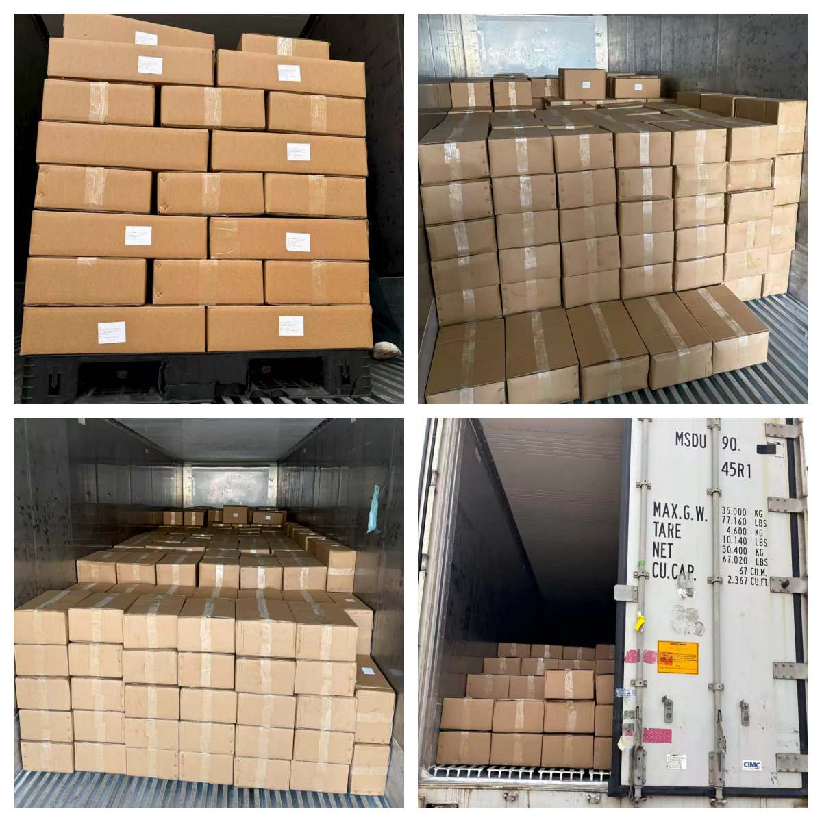 Frozen Bloodworm Shipping Frozen Bloodworm Shipping