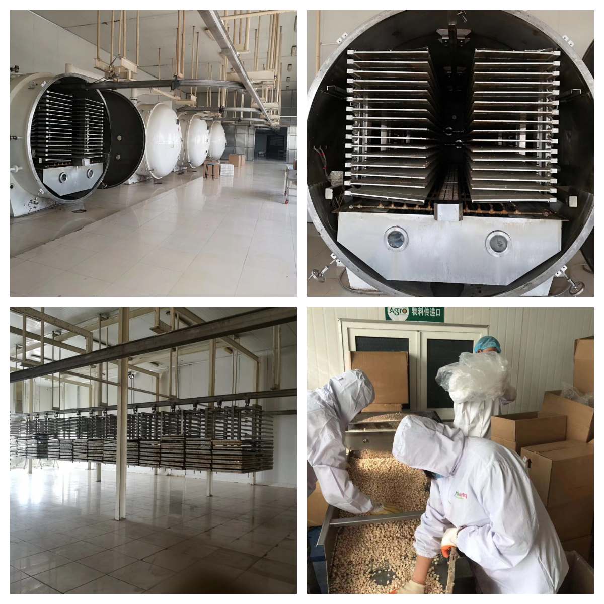 Dried Brine Shrimps Processing Flow Chart Dried Brine Shrimps Processing Flow Chart