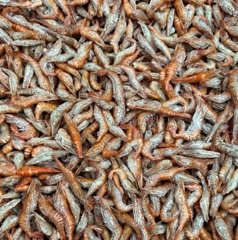 Freeze Dried River Shrimp Freeze Dried River Shrimp