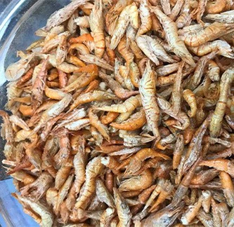 Dried River Shrimp Food Dried River Shrimp Food