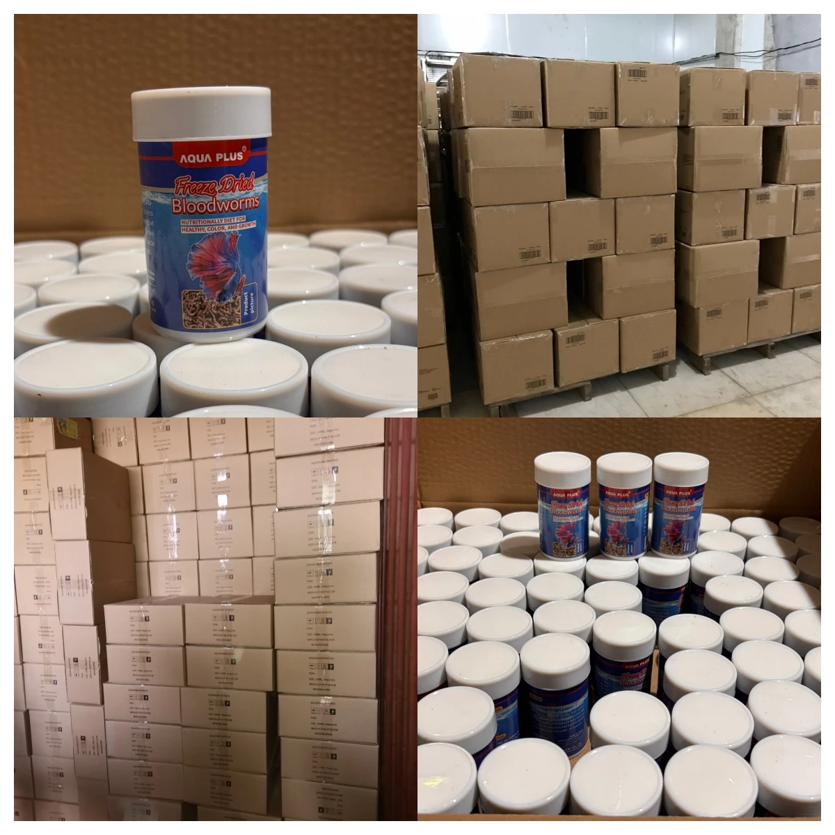 FD Bloodworms shipping FD Bloodworms shipping