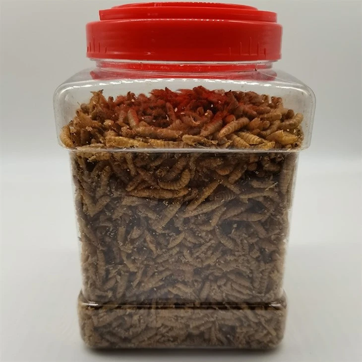 The Best Microwaved Dried BSF Larvae Fish Food