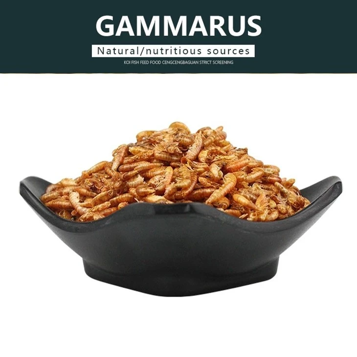 Freeze Dried Gammarus Food Freeze Dried Gammarus Food