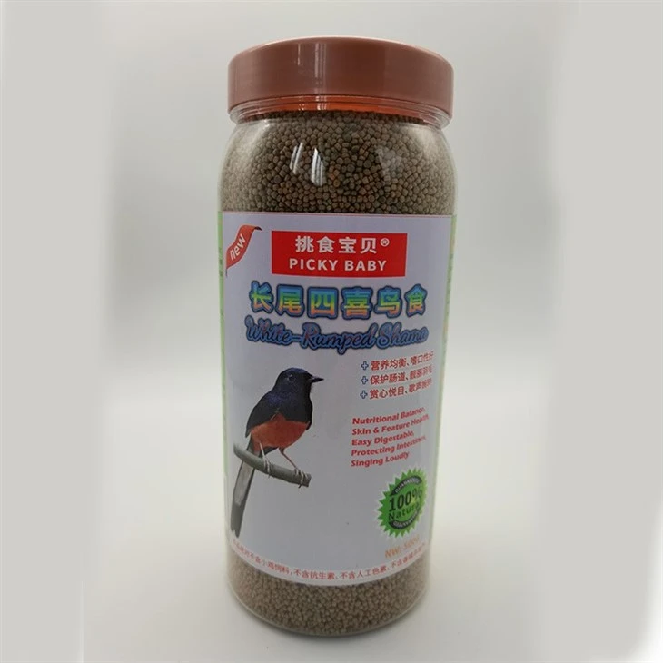 White Rumped Shama Bird Foods
