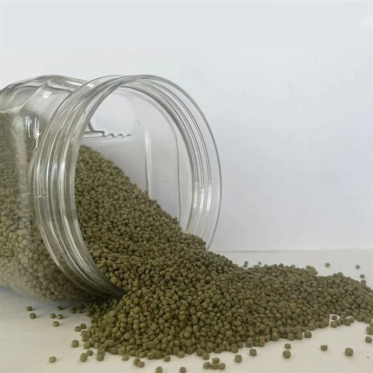 White Rumped Shama Bird Foods White Rumped Shama Bird Foods