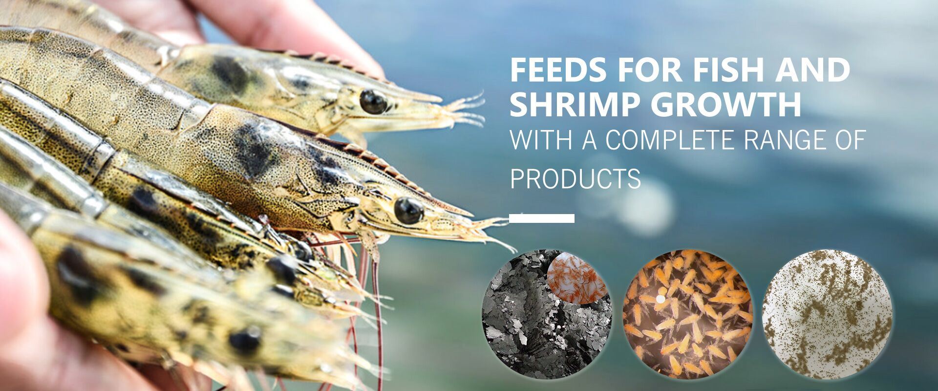 waterlifefeed factory banner