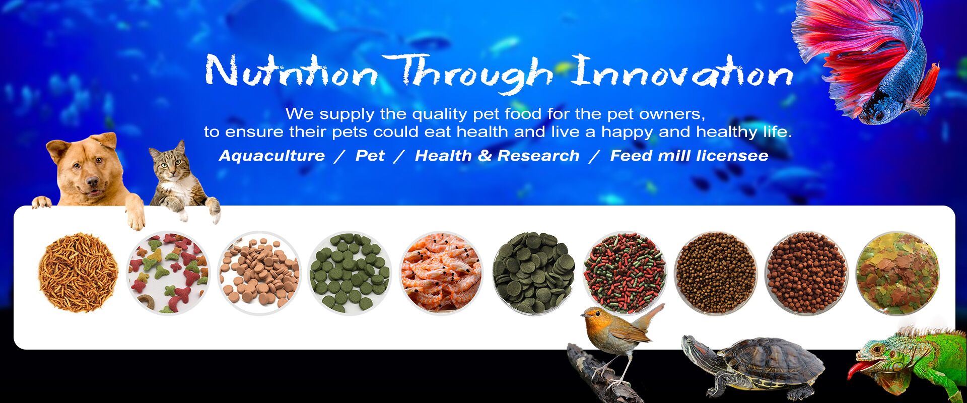 pond fish banner