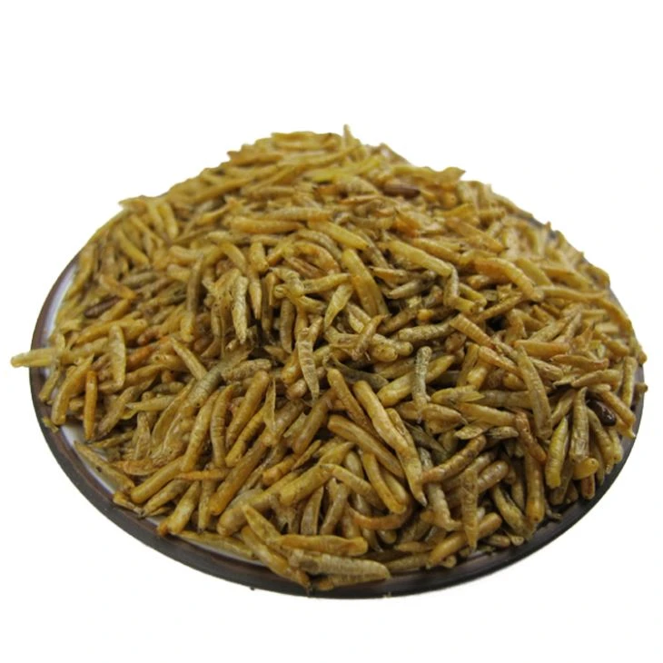 Dried Maggots Fish Food