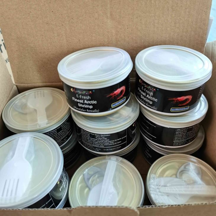 Fresh Canned Arctic Shrimp best Fresh Canned Arctic Shrimp best