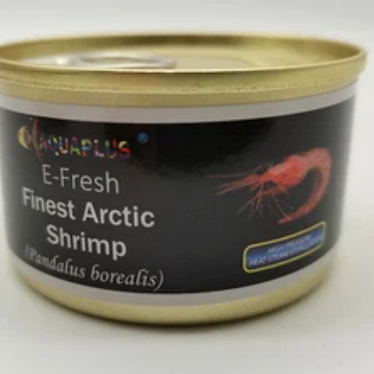 Fresh Canned Arctic Shrimp factory Fresh Canned Arctic Shrimp factory